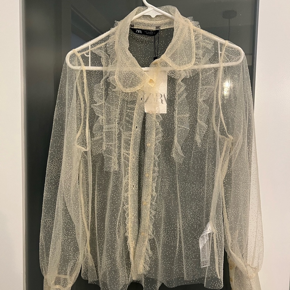 Zara Sheer Cream Blouse